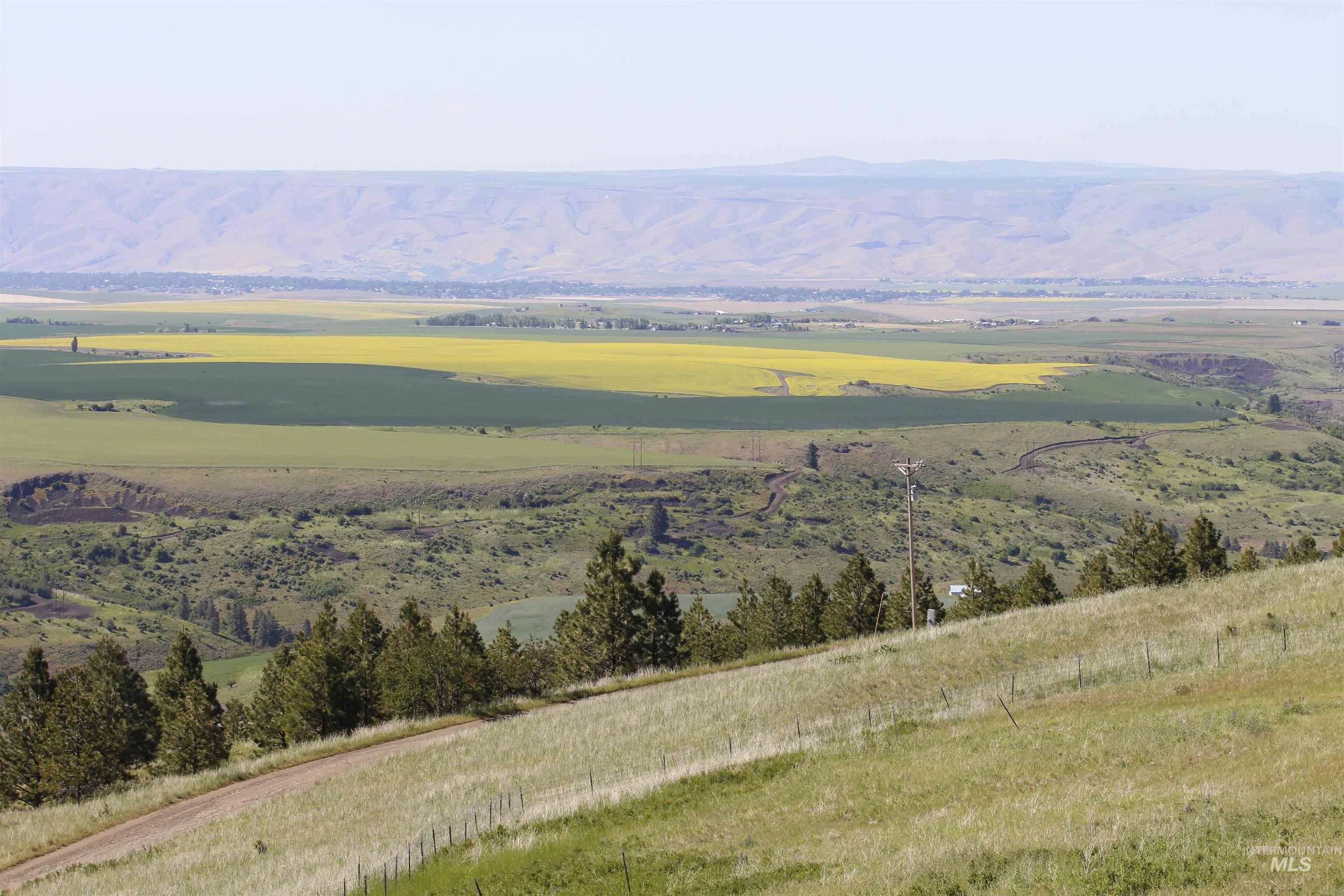 39055 Hilltop Ln, Lewiston, Idaho 83501, 3 Bedrooms, 2 Bathrooms, Residential For Sale, Price $495,000, 98948907