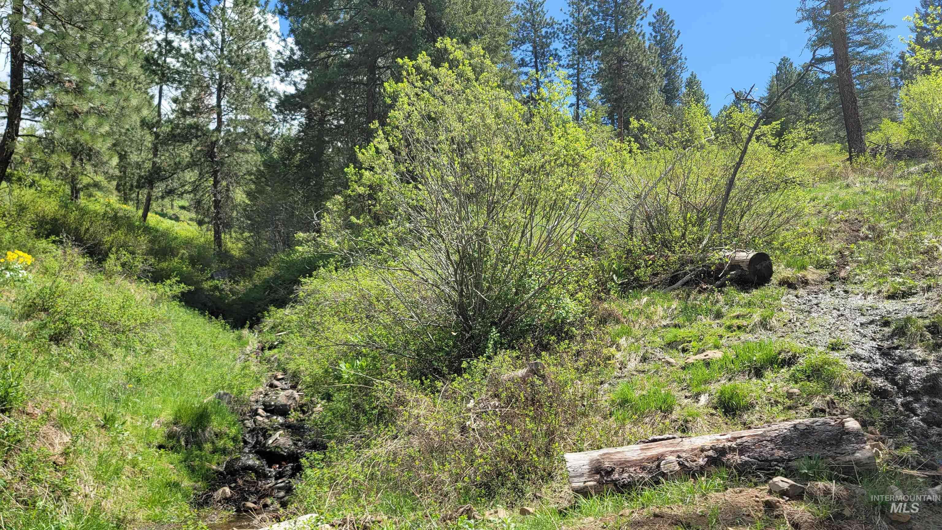 2488 Lappin Lane, Council, Idaho 83612, 3 Bedrooms, 2 Bathrooms, Farm & Ranch For Sale, Price $1,700,000, 98948917