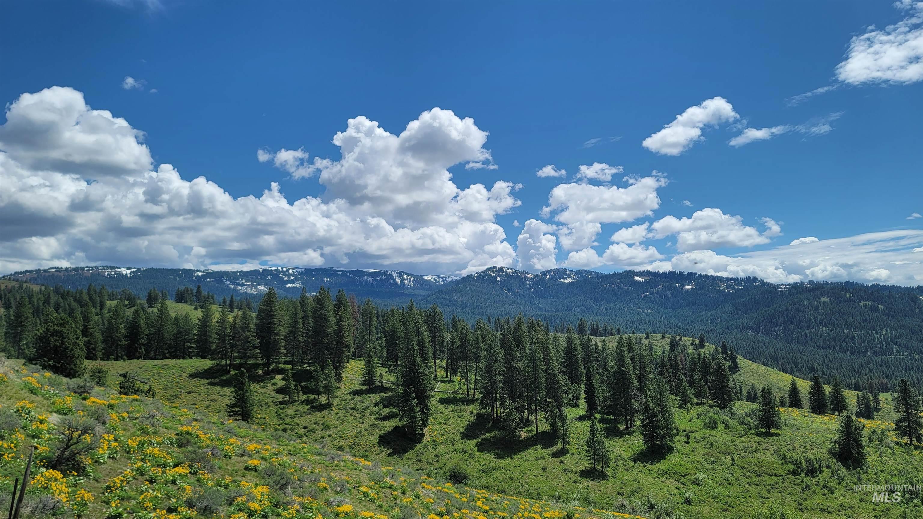 2488 Lappin Lane, Council, Idaho 83612, 3 Bedrooms, 2 Bathrooms, Farm & Ranch For Sale, Price $1,700,000, 98948917