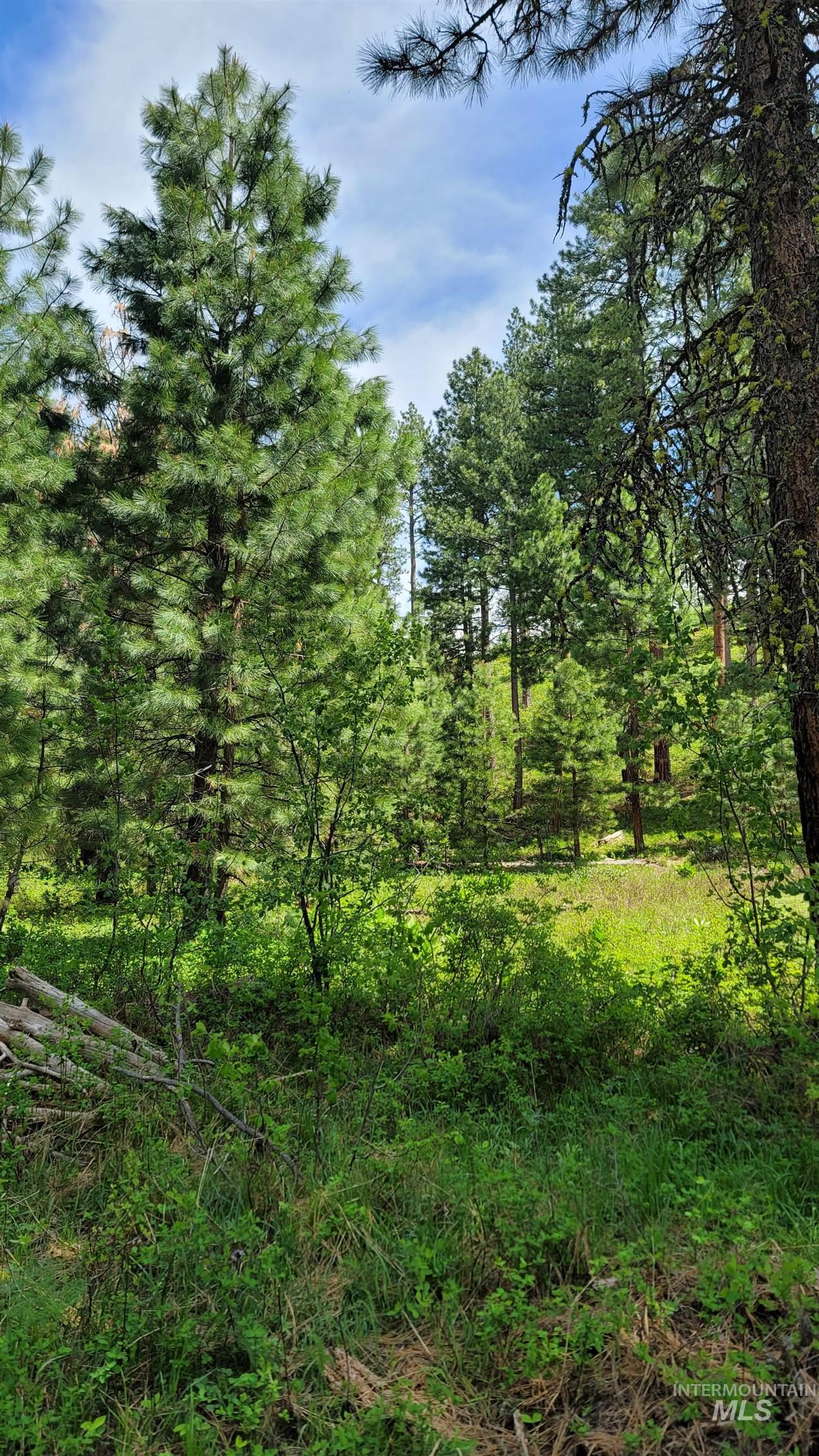 2488 Lappin Lane, Council, Idaho 83612, 3 Bedrooms, 2 Bathrooms, Farm & Ranch For Sale, Price $1,700,000, 98948917