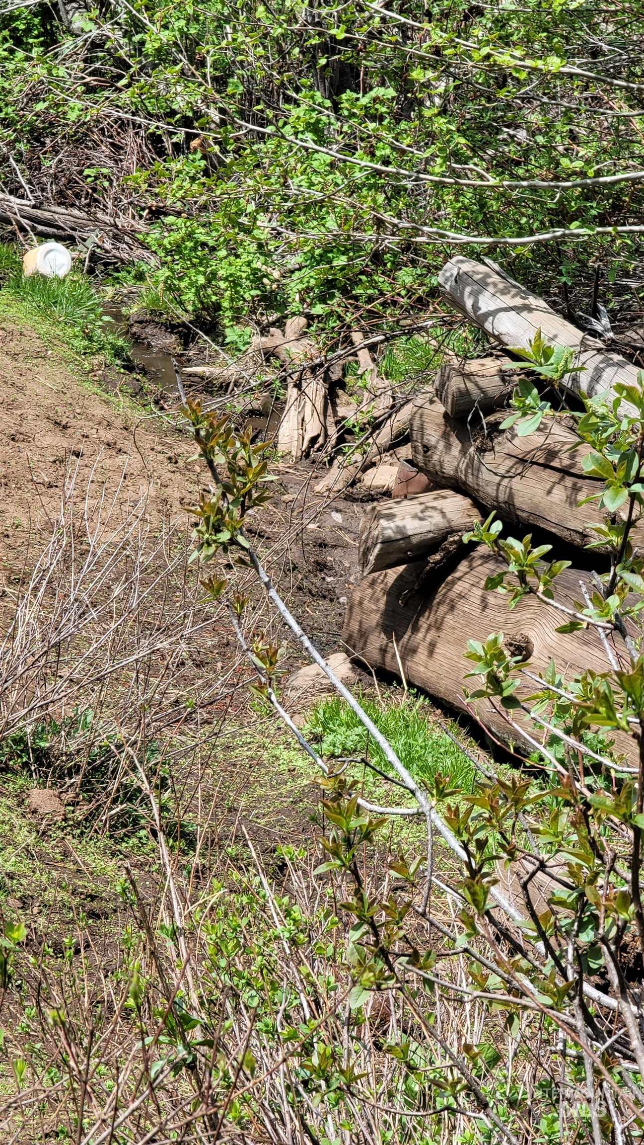 2488 Lappin Lane, Council, Idaho 83612, 3 Bedrooms, 2 Bathrooms, Farm & Ranch For Sale, Price $1,700,000, 98948917