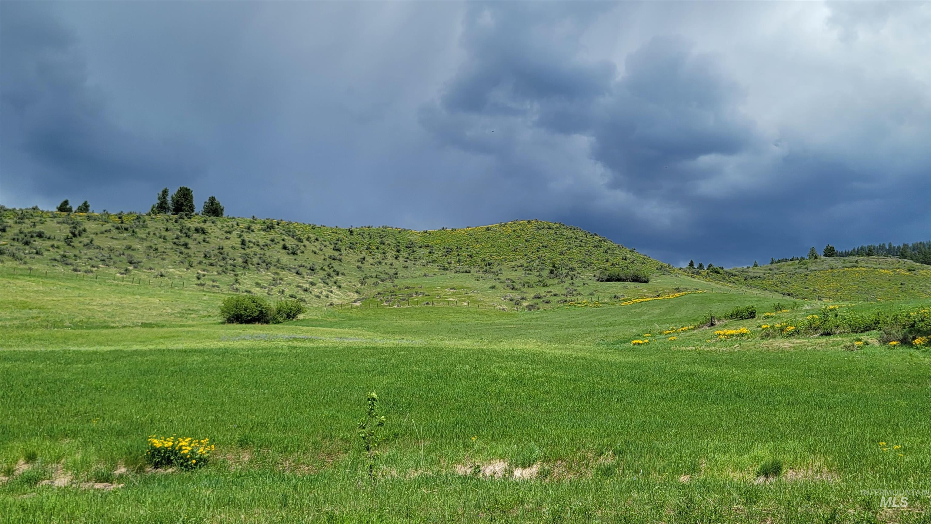 2488 Lappin Lane, Council, Idaho 83612, 3 Bedrooms, 2 Bathrooms, Farm & Ranch For Sale, Price $1,700,000, 98948917