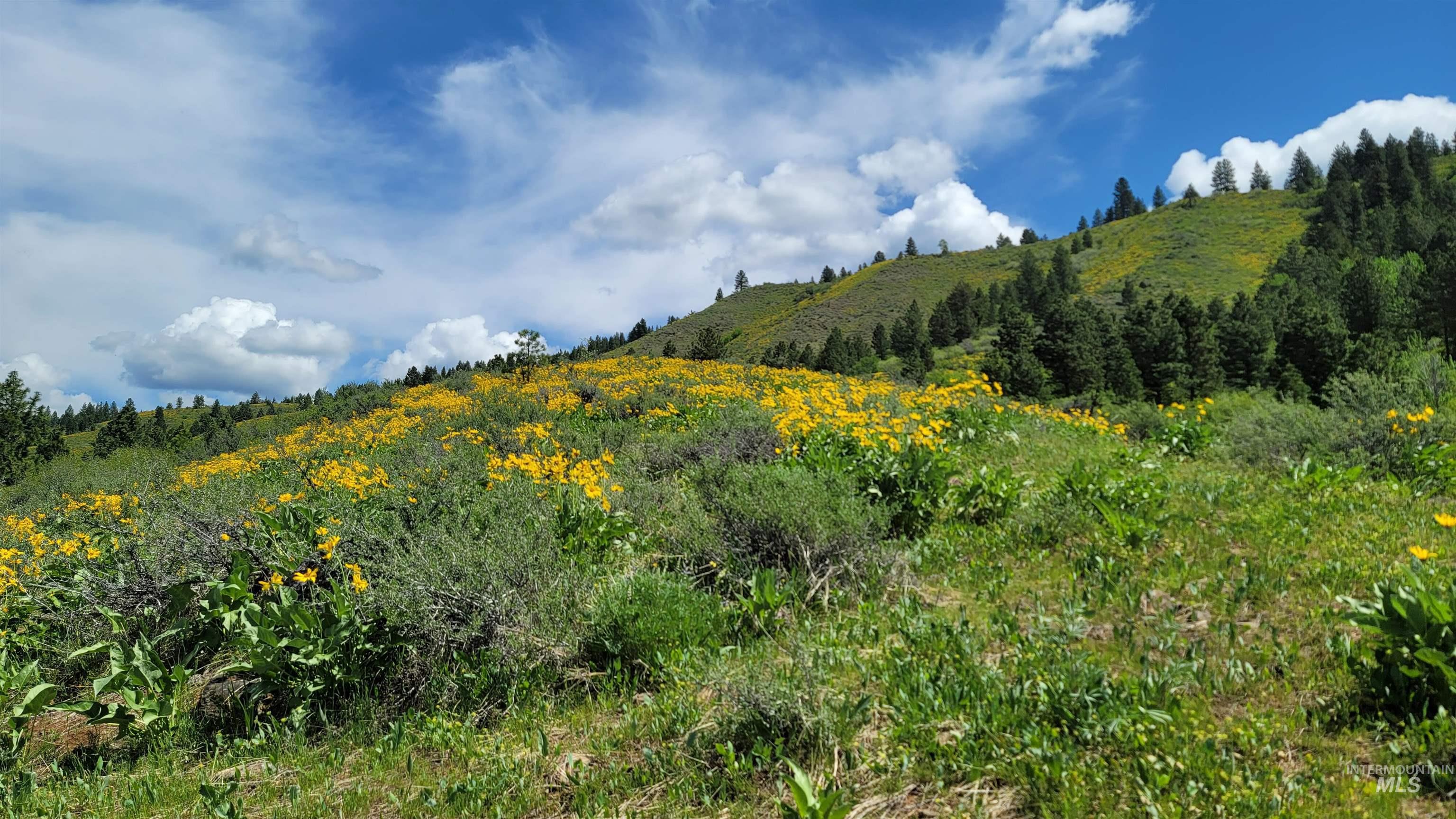 2488 Lappin Lane, Council, Idaho 83612, 3 Bedrooms, 2 Bathrooms, Farm & Ranch For Sale, Price $1,700,000, 98948917