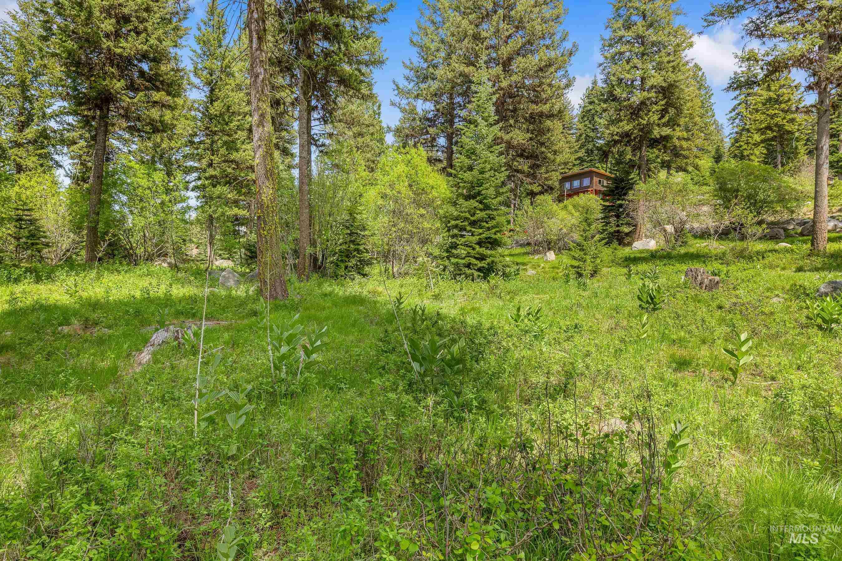 1210 Aspen Ridge Lane, McCall, Idaho 83638, Land For Sale, Price $275,000, 98948998