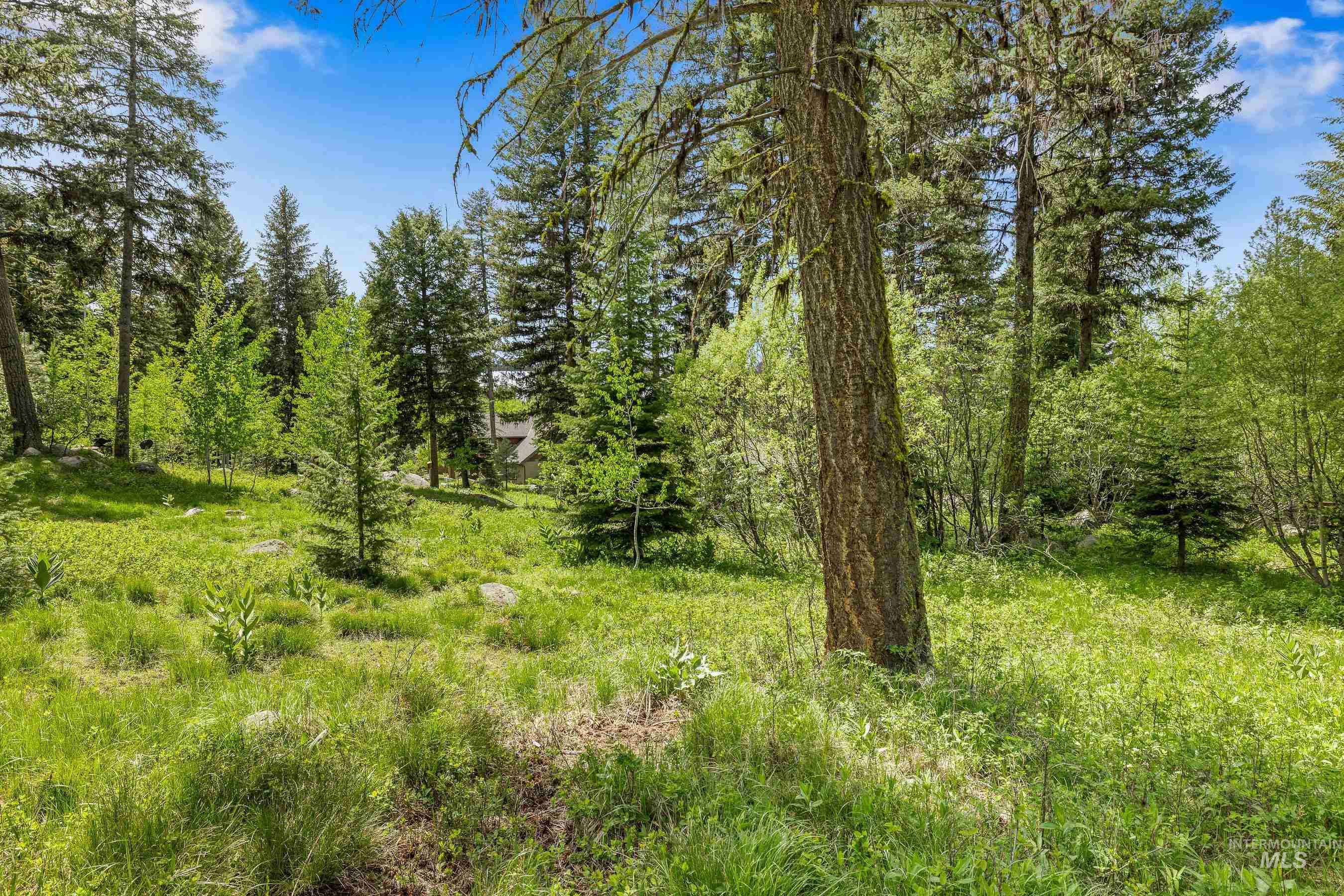 1210 Aspen Ridge Lane, McCall, Idaho 83638, Land For Sale, Price $275,000, 98948998
