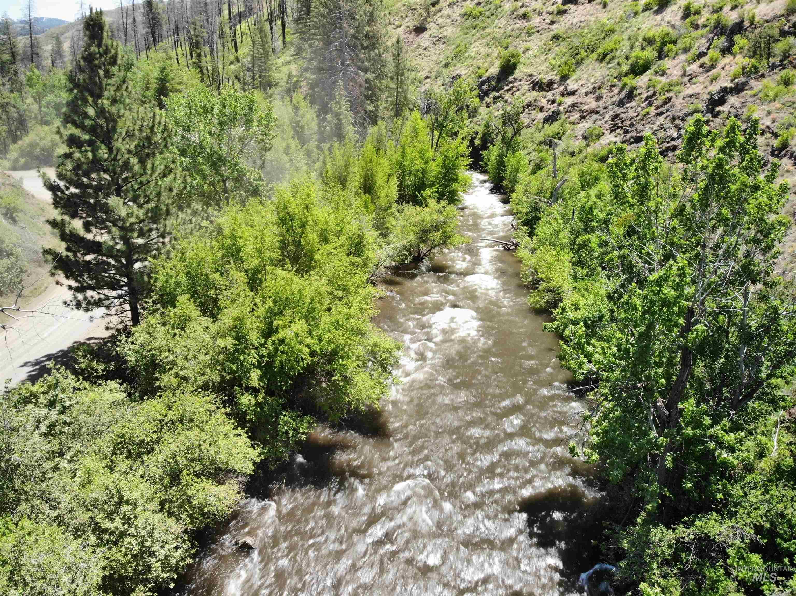 TBD Middle Fork Road, Council, Idaho 83612, Land For Sale, Price $299,000, 98949009