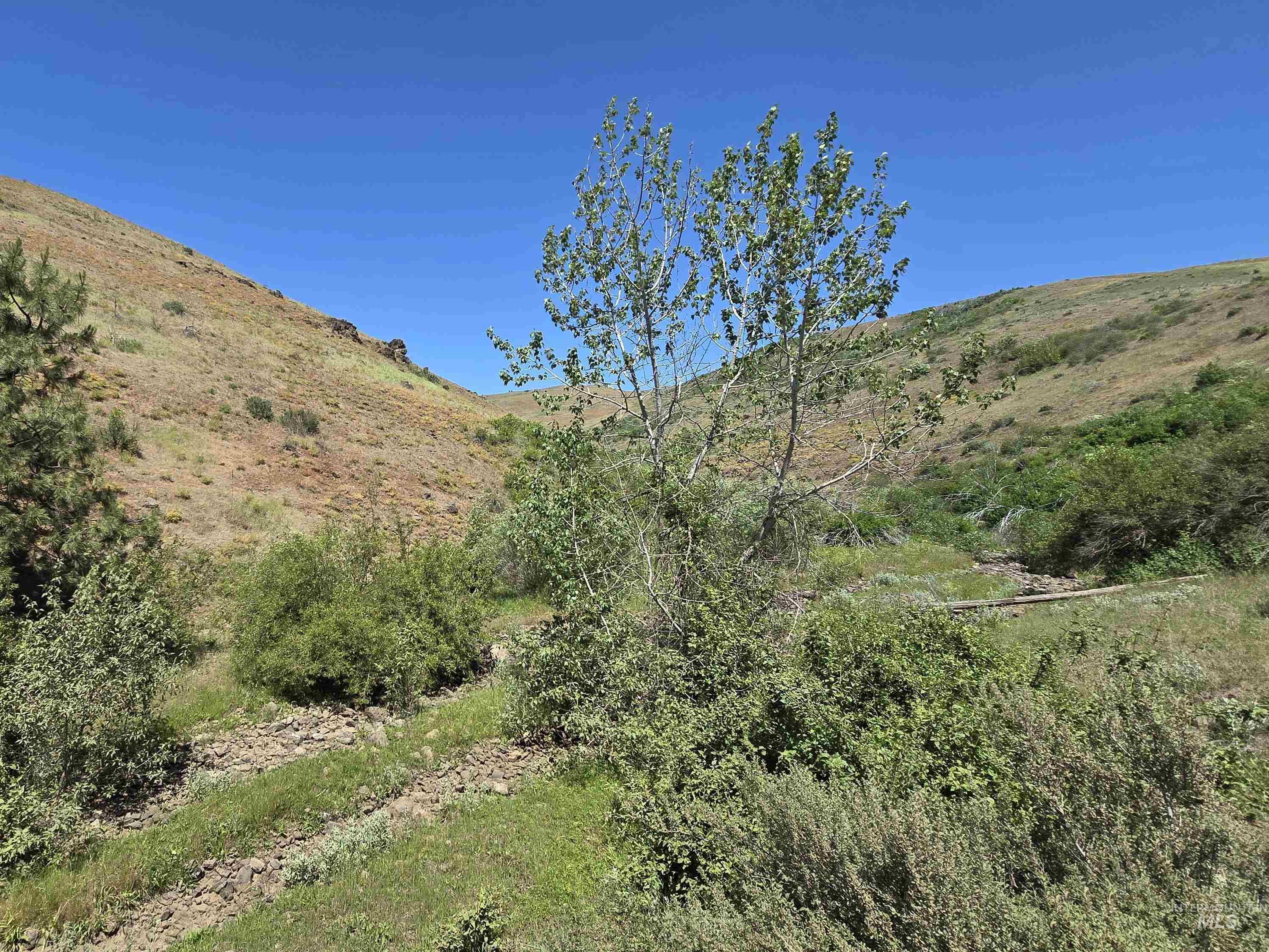 TBD Middle Fork Road, Council, Idaho 83612, Land For Sale, Price $299,000, 98949009