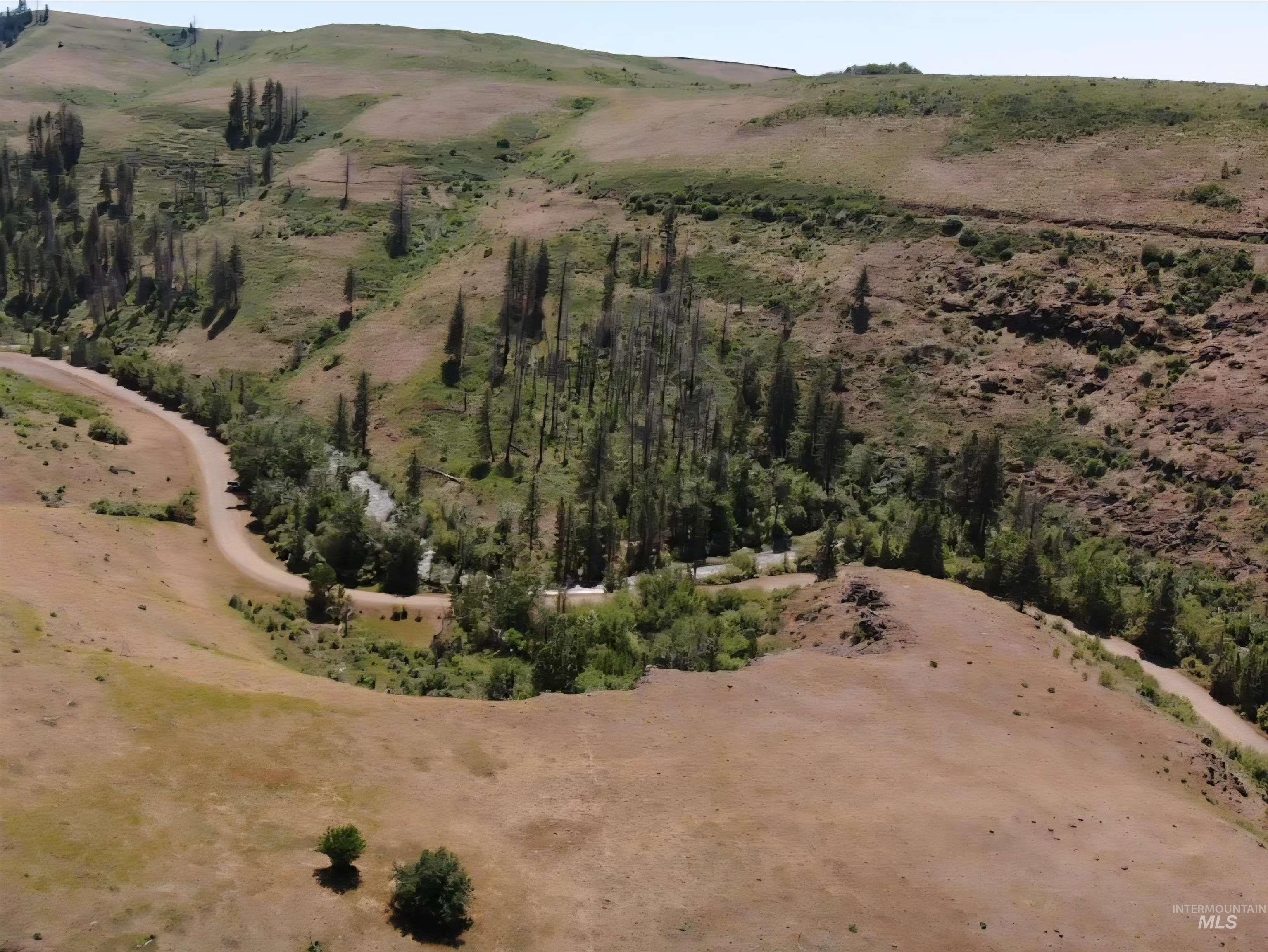TBD Middle Fork Road, Council, Idaho 83612, Land For Sale, Price $299,000, 98949009