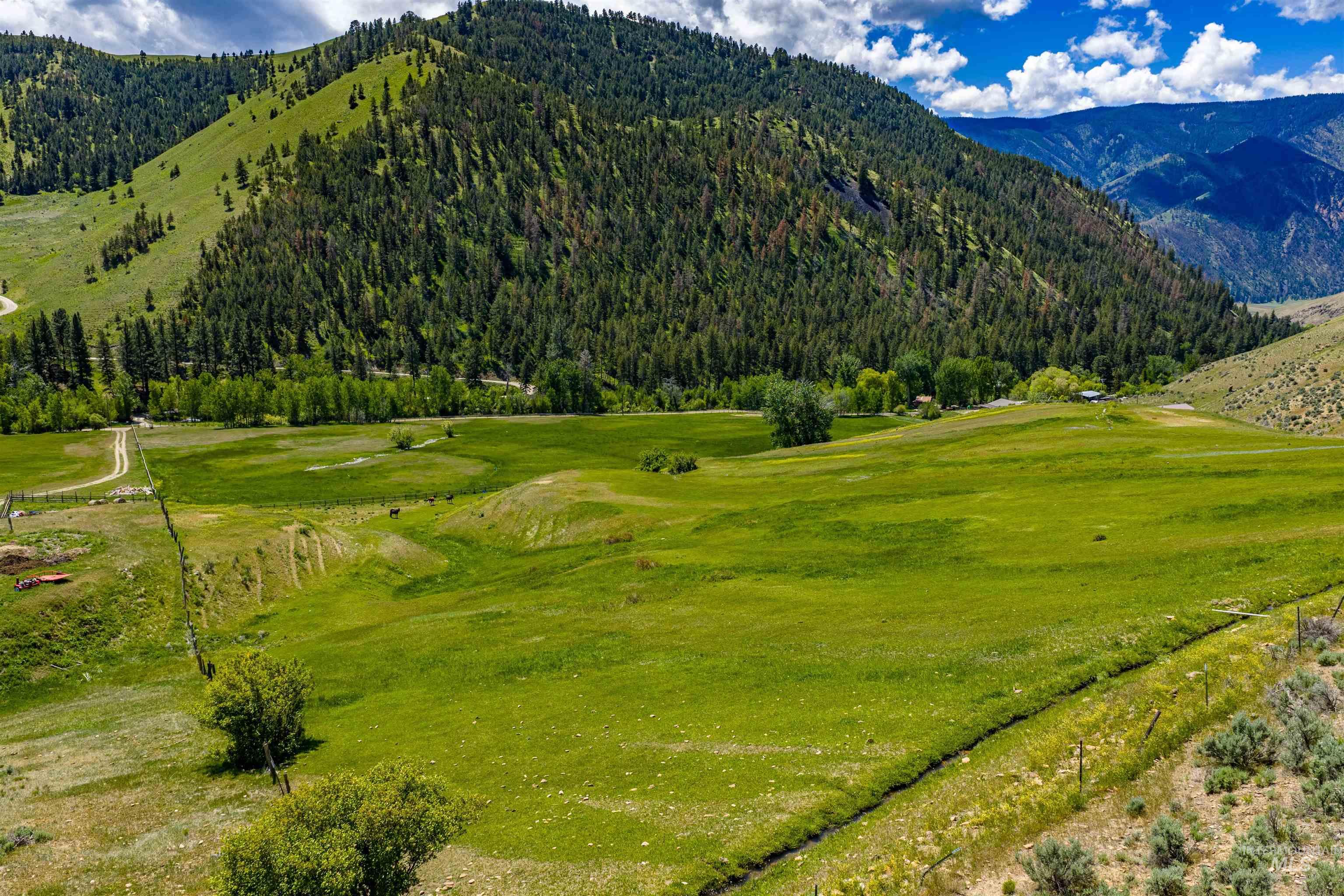 9 Little 4th of July Creek, Salmon, Idaho 83467, 4 Bedrooms, 3 Bathrooms, Farm & Ranch For Sale, Price $2,740,000, 98949063