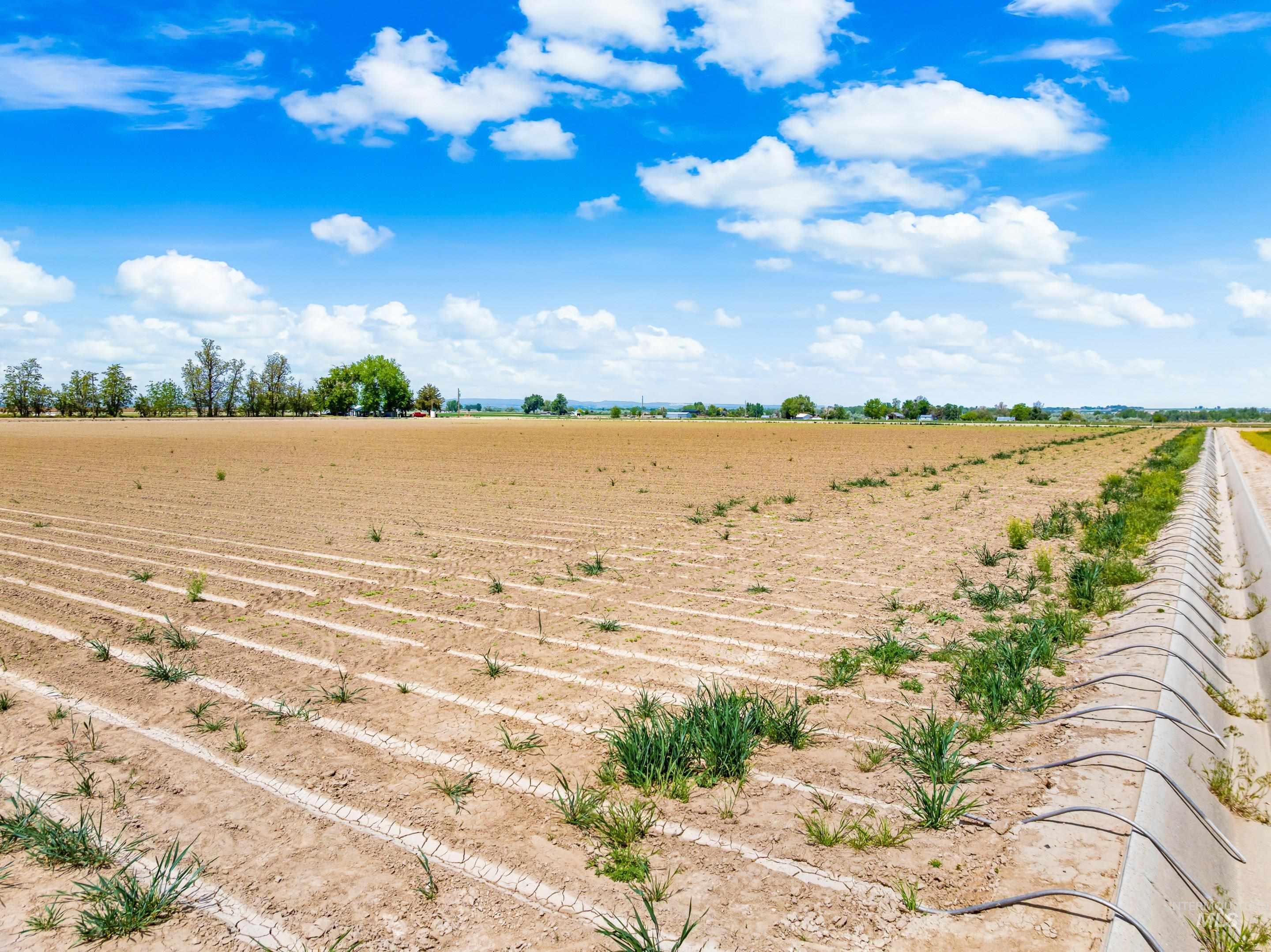 TBD Stephen Ln, Parma, Idaho 83660, Land For Sale, Price $299,900, 98949070