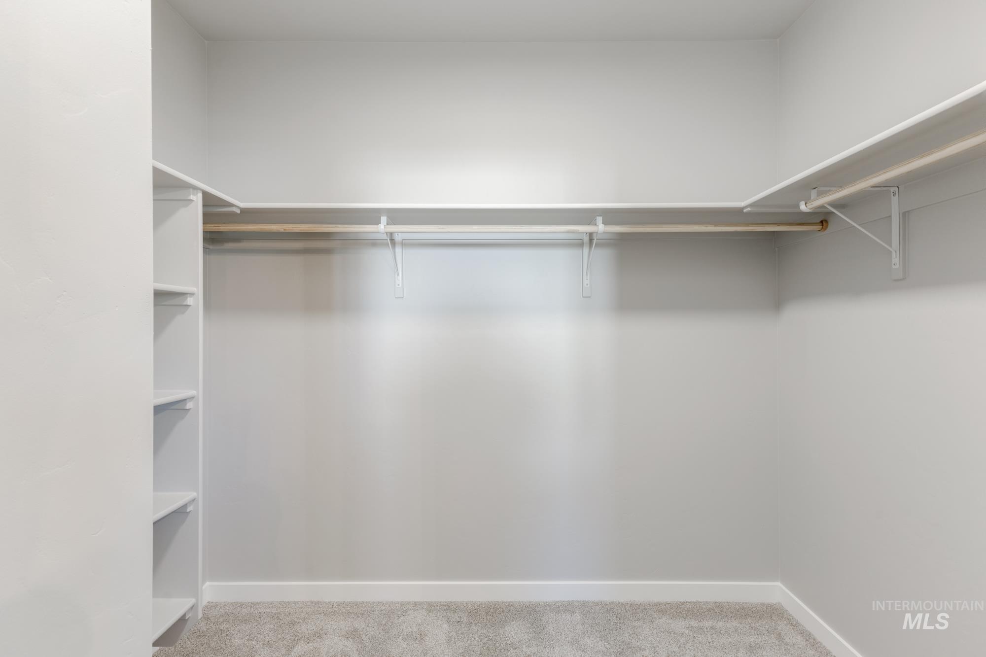 Walk in closet featuring carpet floors
