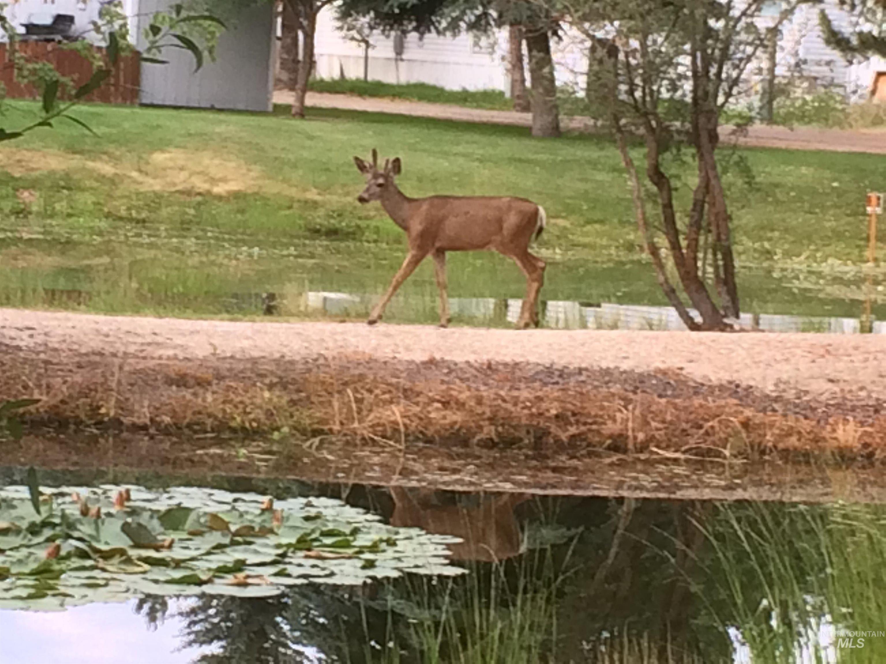 514 E13 Sawyer St, Cascade, Idaho 83611, 1 Bedroom, 1 Bathroom, Residential For Sale, Price $229,000, 98949162