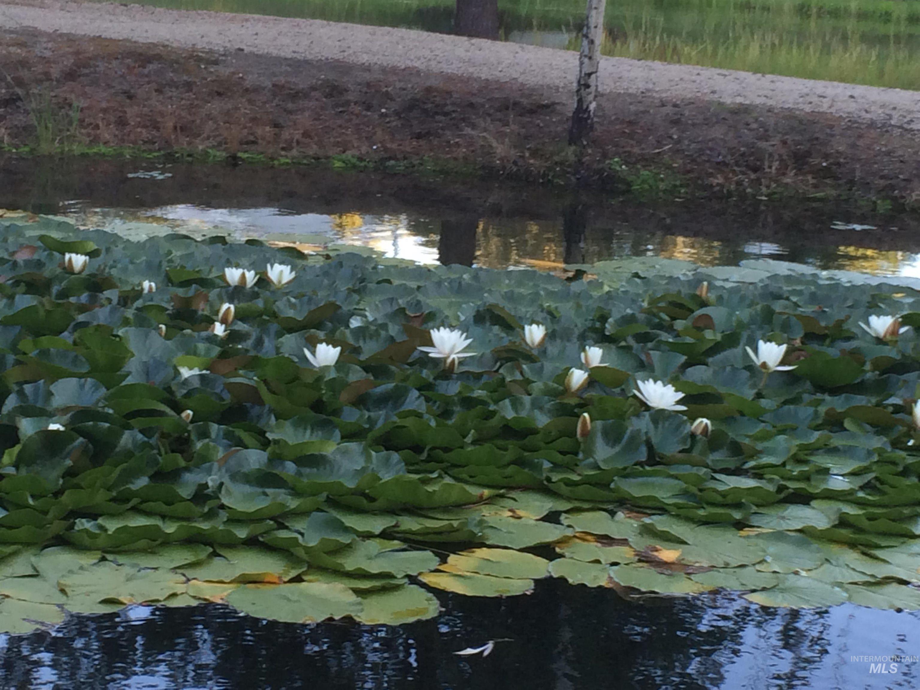 514 E13 Sawyer St, Cascade, Idaho 83611, 1 Bedroom, 1 Bathroom, Residential For Sale, Price $229,000, 98949162