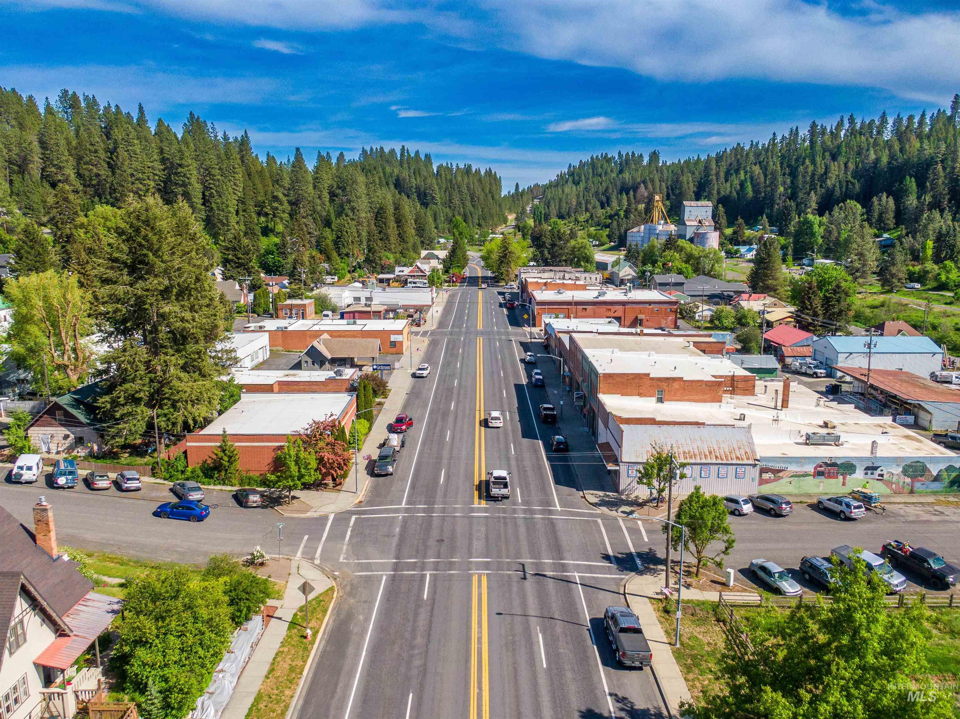 401 S Main Street, Troy, Idaho 83871, Business/Commercial For Sale, Price $159,000, 98949193