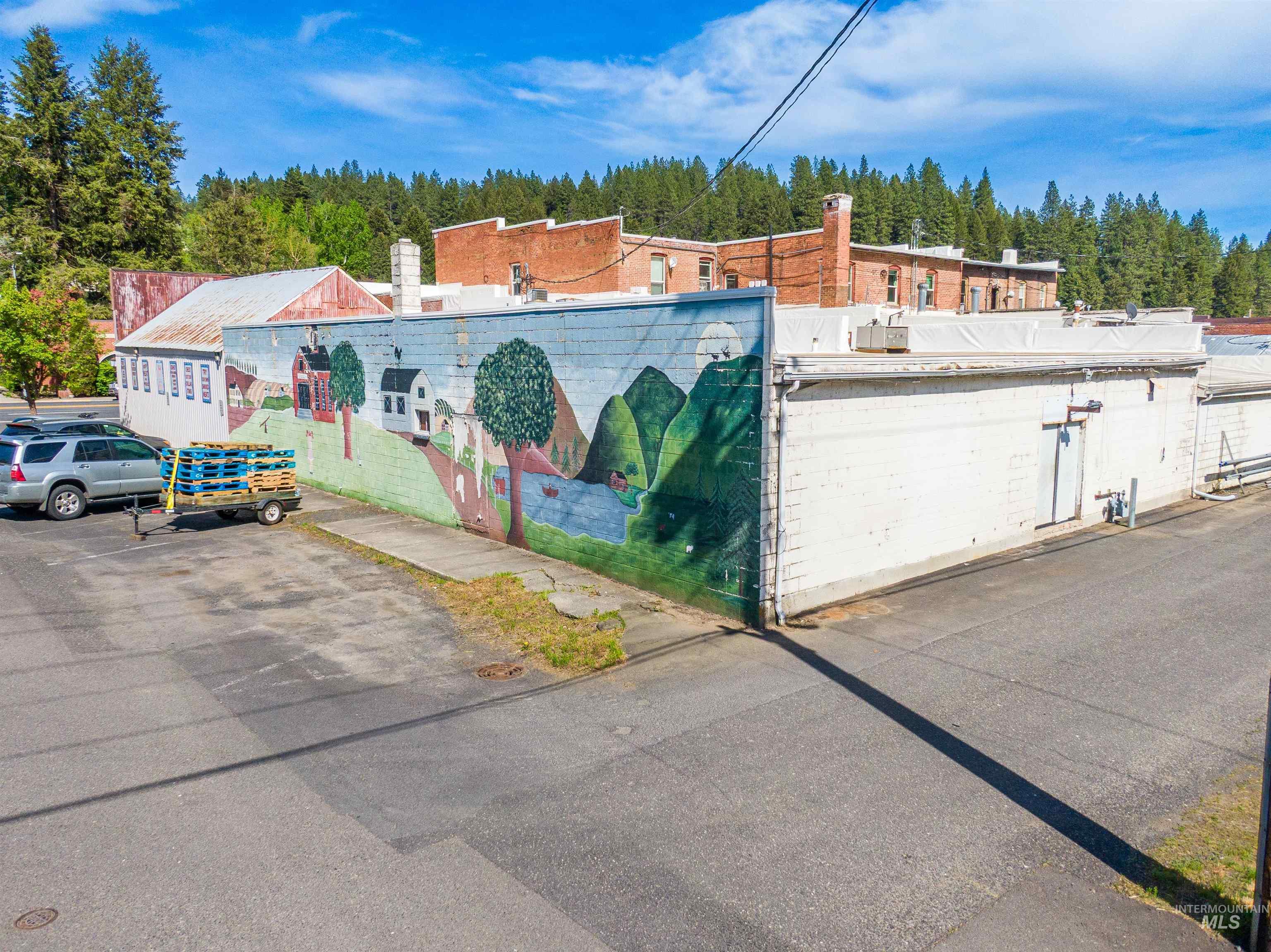 401 S Main Street, Troy, Idaho 83871, Business/Commercial For Sale, Price $159,000, 98949193