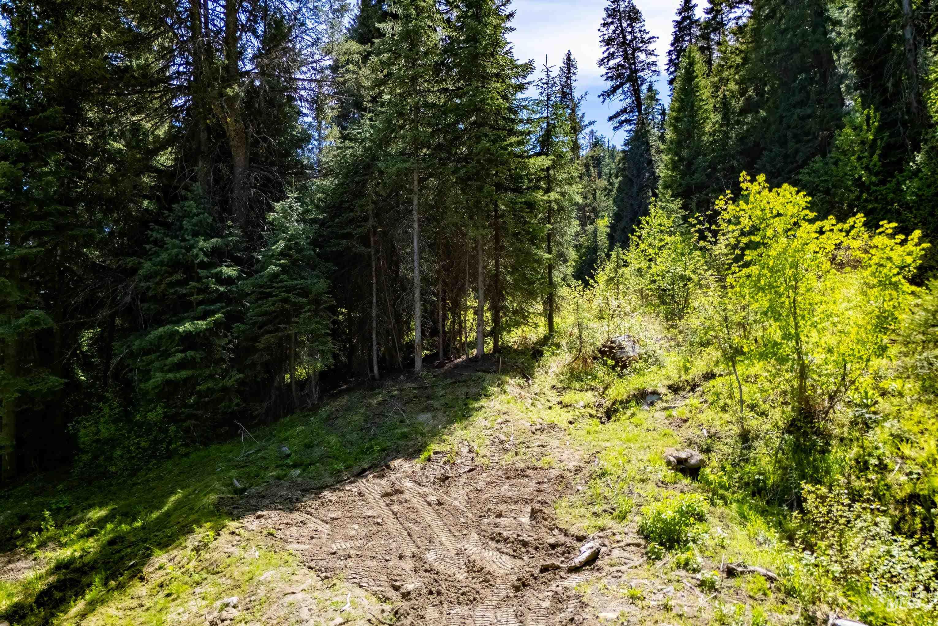 2271 Franks, Donnelly, Idaho 83615, Land For Sale, Price $395,000, 98949231