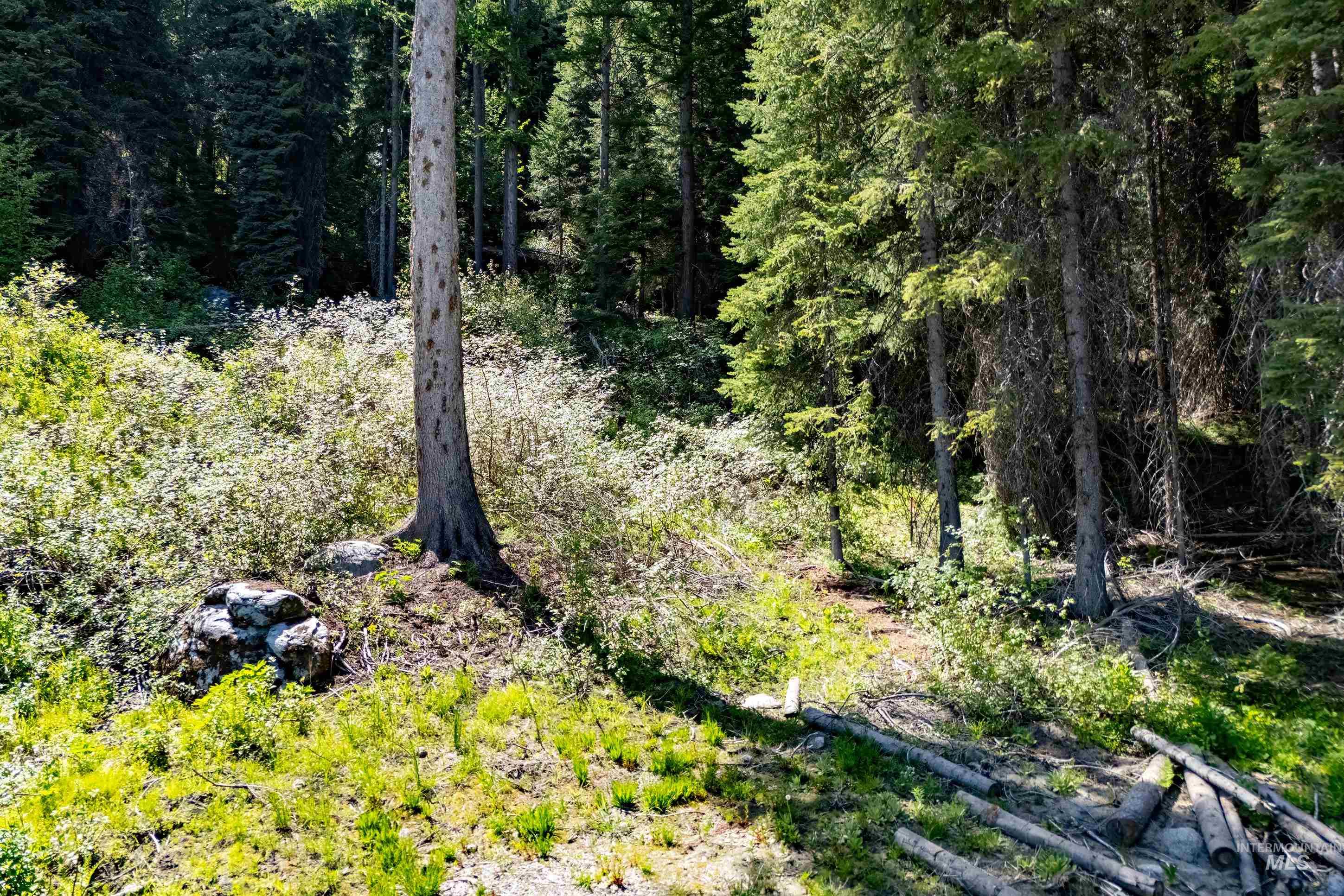 2271 Franks, Donnelly, Idaho 83615, Land For Sale, Price $395,000, 98949231