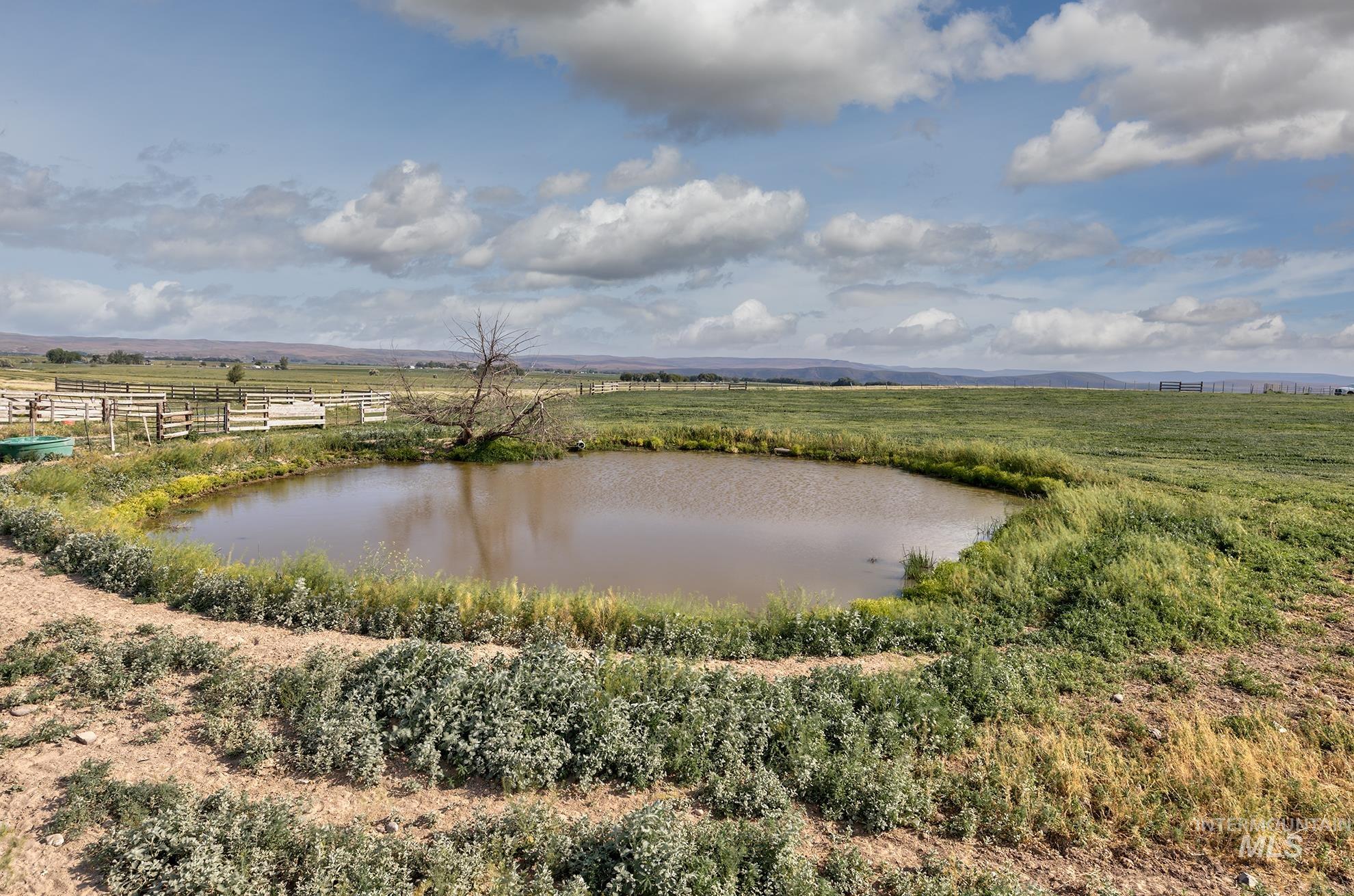 2175 Graham Blvd, Vale, Oregon 97918, 4 Bedrooms, 3.5 Bathrooms, Residential For Sale, Price $1,300,000, 98949243