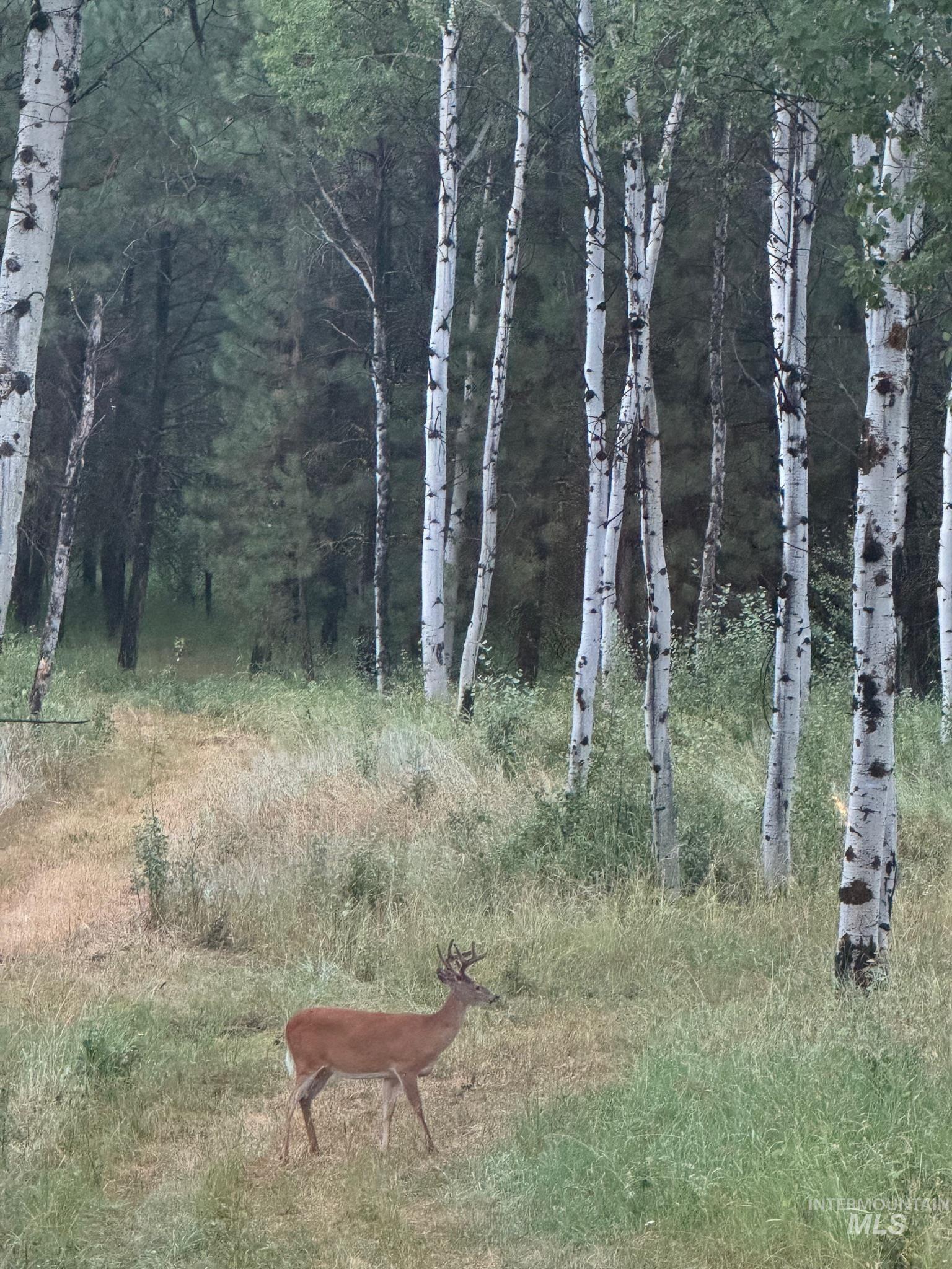 164 E Lakefork, McCall, Idaho 83638, 6 Bedrooms, 4.5 Bathrooms, Residential For Sale, Price $1,648,900, 98949277