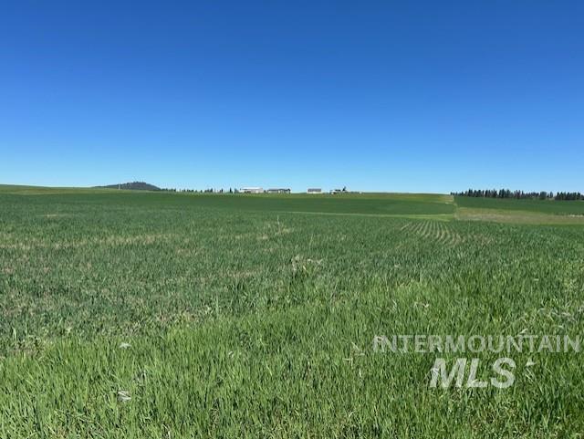 TBD Klein Rd, Craigmont, Idaho 83523, Land For Sale, Price $150,000, 98949282