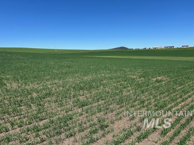 TBD Klein Rd, Craigmont, Idaho 83523, Land For Sale, Price $150,000, 98949282
