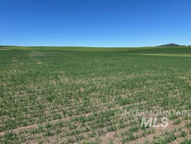 TBD Klein Rd, Craigmont, Idaho 83523, Land For Sale, Price $150,000, 98949282