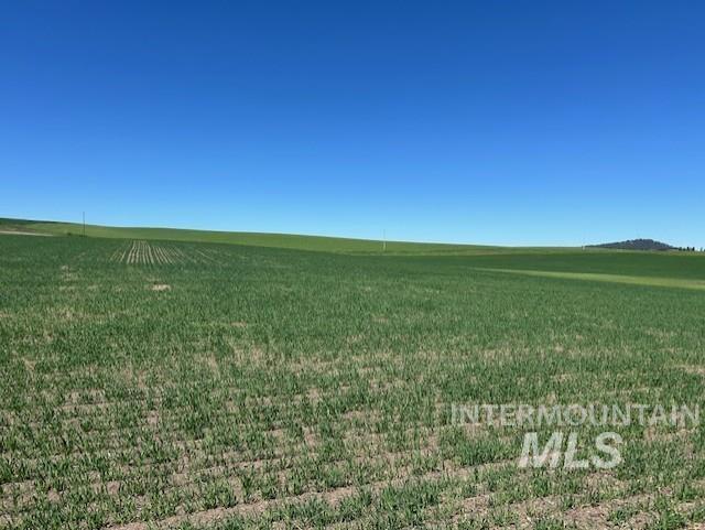 TBD Klein Rd, Craigmont, Idaho 83523, Land For Sale, Price $150,000, 98949282
