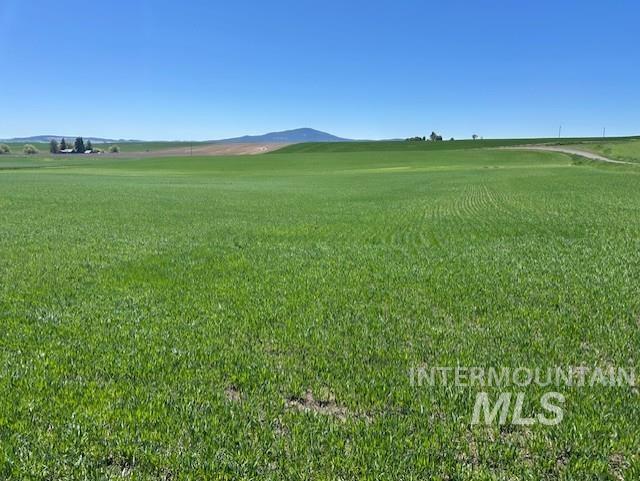 TBD Klein Rd, Craigmont, Idaho 83523, Land For Sale, Price $150,000, 98949282