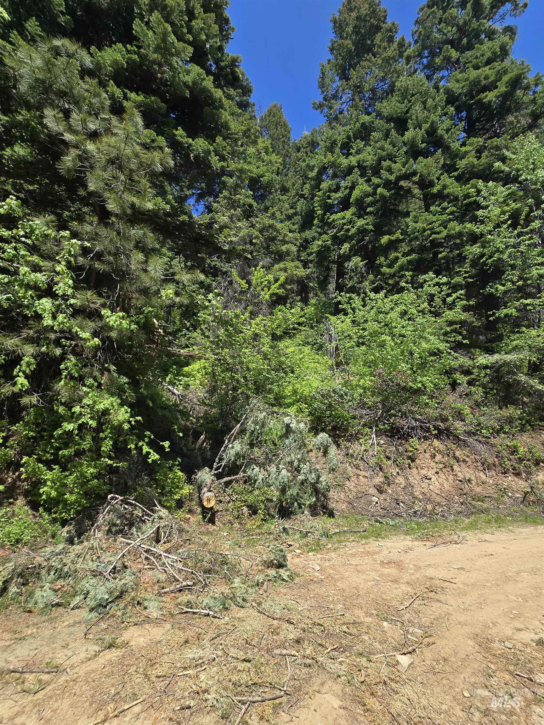 74 Burnt Wagon Trail, Donnelly, Idaho 83615, Land For Sale, Price $98,499, 98949285