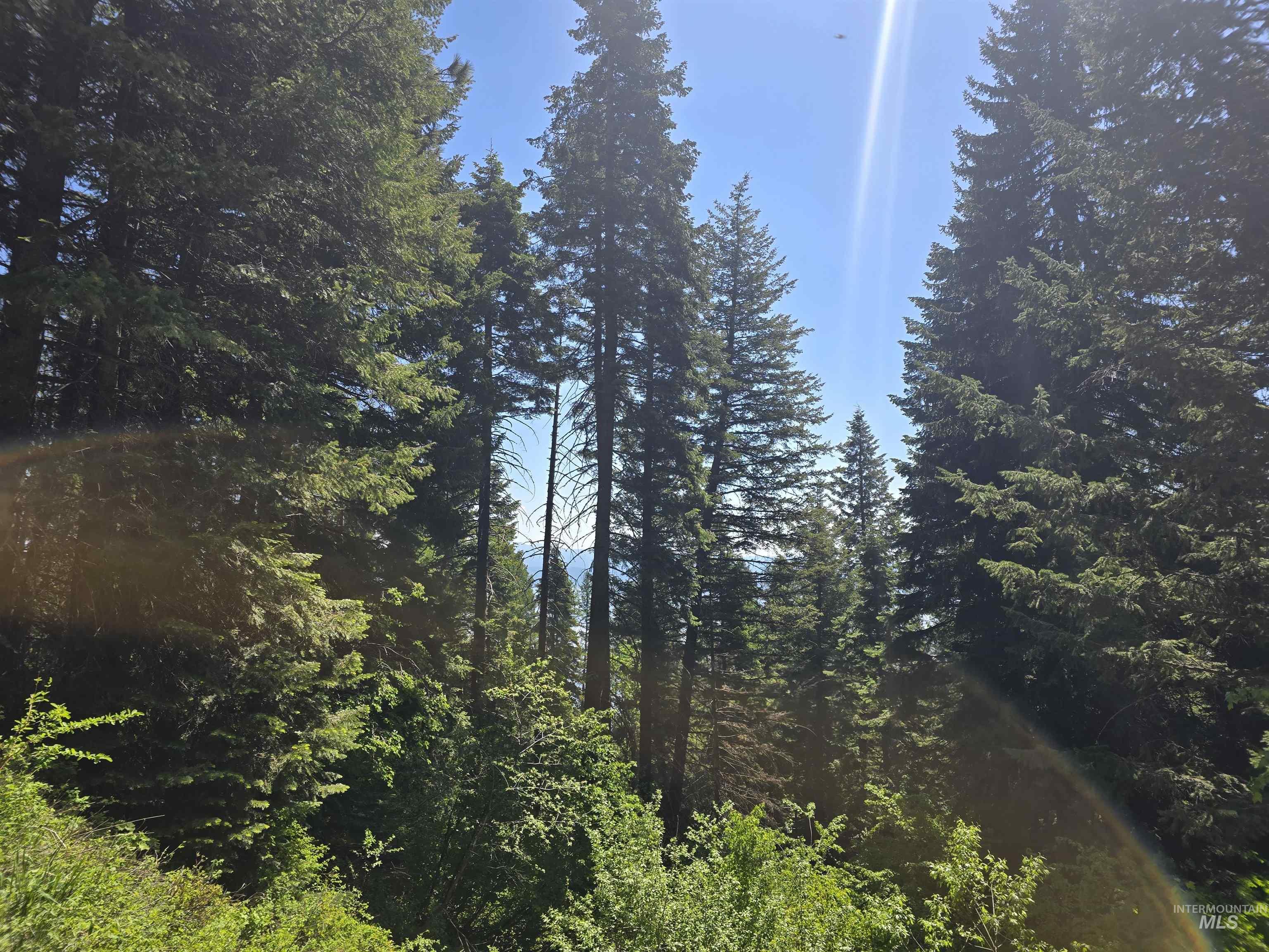 74 Burnt Wagon Trail, Donnelly, Idaho 83615, Land For Sale, Price $98,499, 98949285