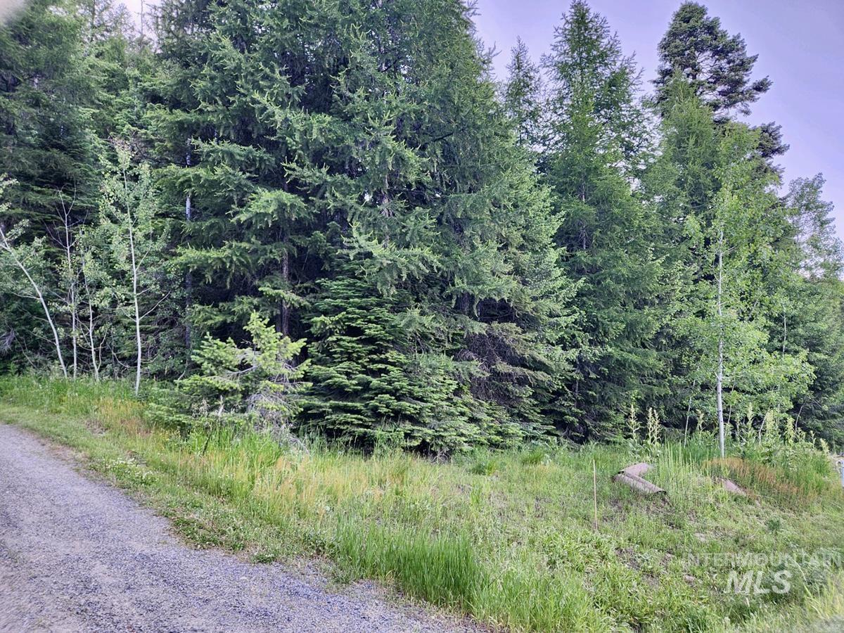 1457 West Mountain Road, Donnelly, Idaho 83615, Land For Sale, Price $309,000, 98949426