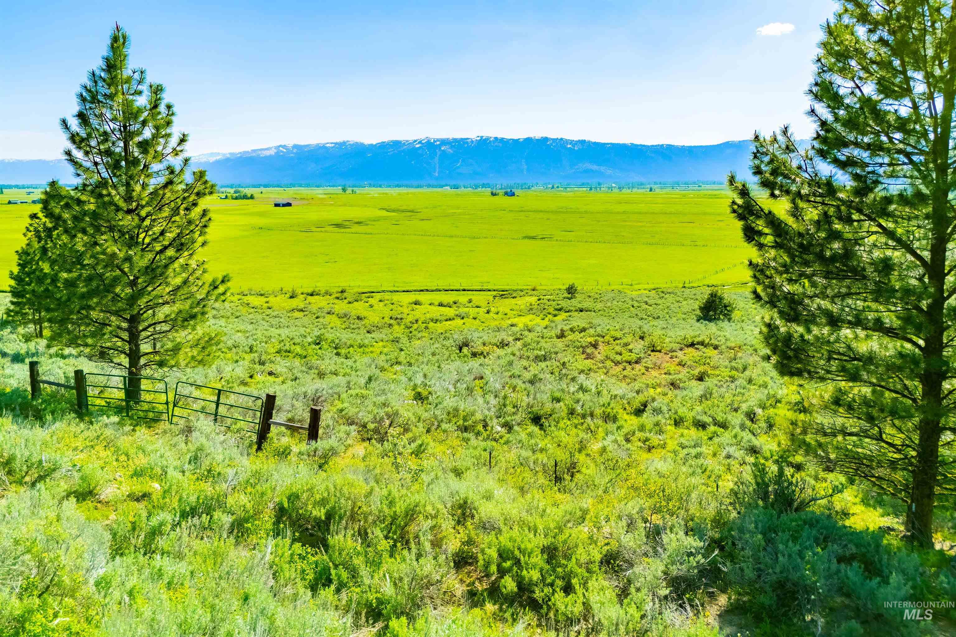 TBD Finlandia TAX NO. 7, McCall, Idaho 83638, Land For Sale, Price $325,000, 98949462