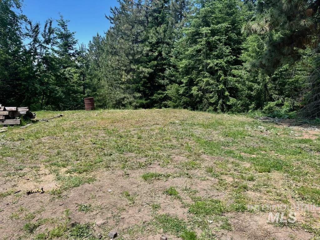 View of yard with a view of trees