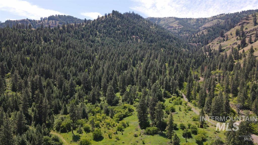 TBD Saddle Ridge Rd, White Bird, Idaho 83554, Land For Sale, Price $159,900, 98949495