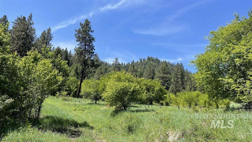 TBD Saddle Ridge Rd, White Bird, Idaho 83554, Land For Sale, Price $159,900, 98949495