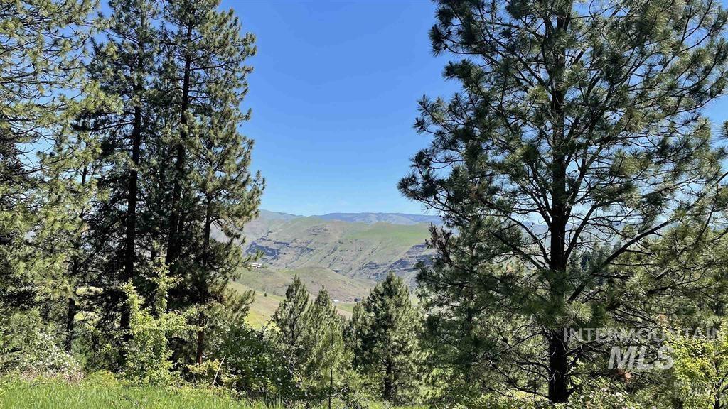 TBD Saddle Ridge Rd, White Bird, Idaho 83554, Land For Sale, Price $159,900, 98949495