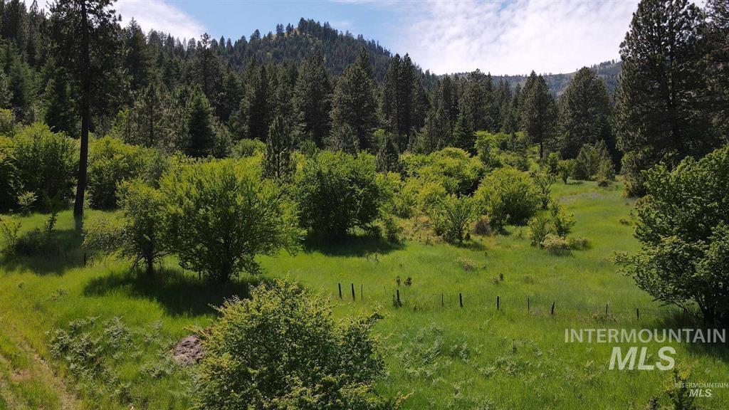 TBD Saddle Ridge Rd, White Bird, Idaho 83554, Land For Sale, Price $159,900, 98949495