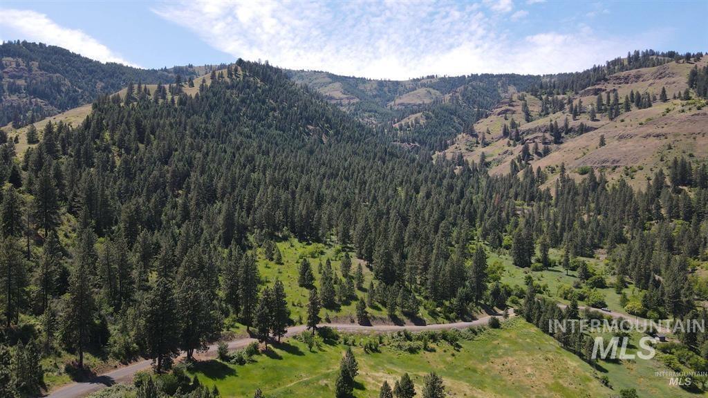TBD Saddle Ridge Rd, White Bird, Idaho 83554, Land For Sale, Price $159,900, 98949495