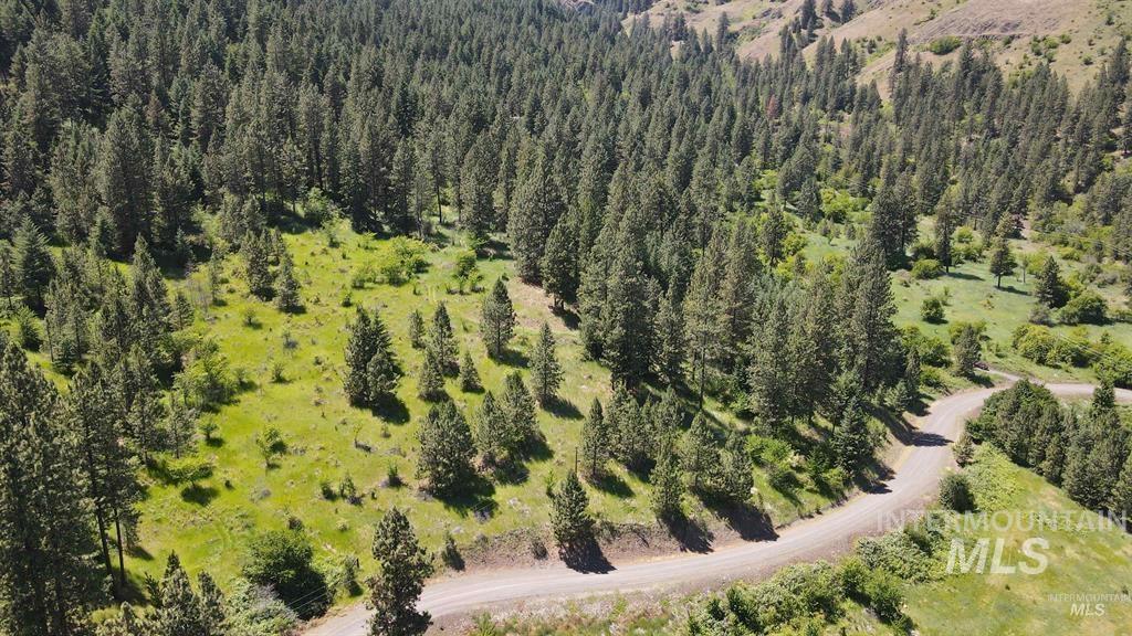 TBD Saddle Ridge Rd, White Bird, Idaho 83554, Land For Sale, Price $159,900, 98949495