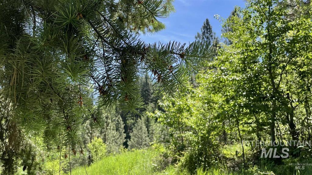 TBD Saddle Ridge Rd, White Bird, Idaho 83554, Land For Sale, Price $159,900, 98949495