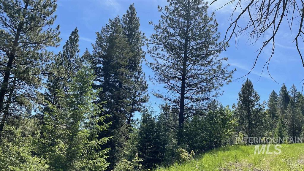 TBD Saddle Ridge Rd, White Bird, Idaho 83554, Land For Sale, Price $159,900, 98949495