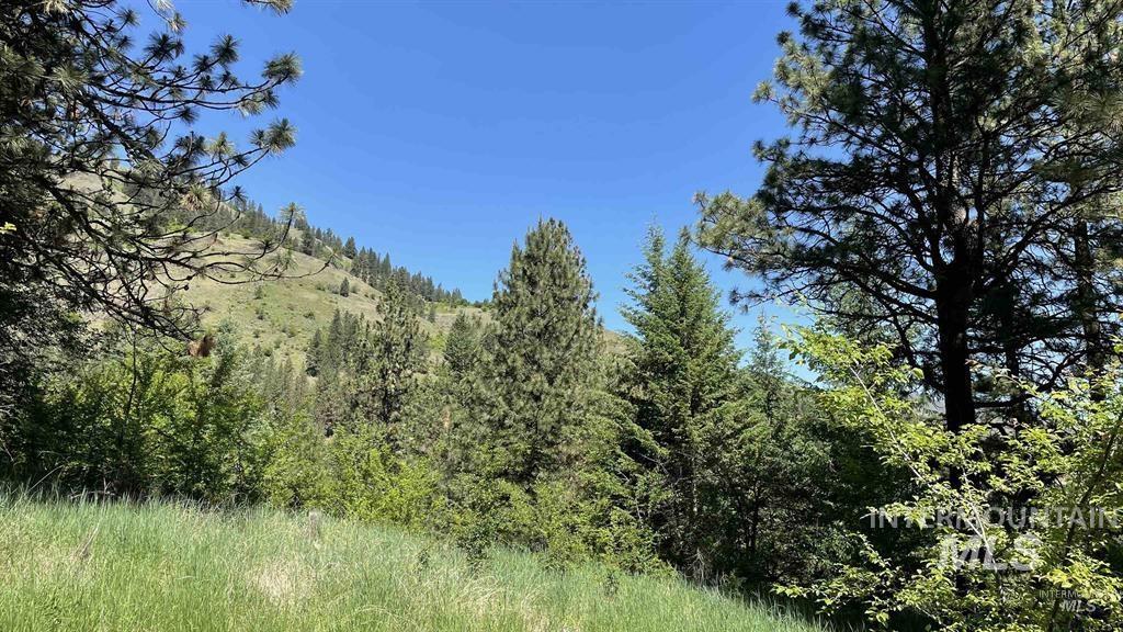 TBD Saddle Ridge Rd, White Bird, Idaho 83554, Land For Sale, Price $159,900, 98949495
