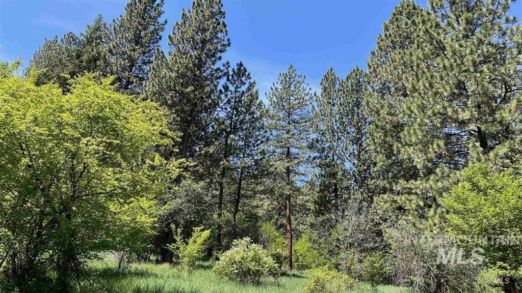 TBD Saddle Ridge Rd, White Bird, Idaho 83554, Land For Sale, Price $159,900, 98949495