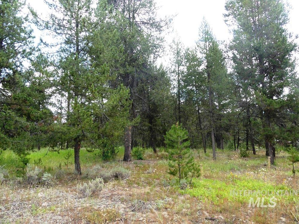 430 Wilhelm Creek Ct, McCall, Idaho 83638, Land For Sale, Price $305,500, 98949510