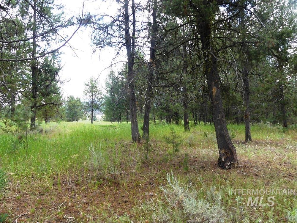 430 Wilhelm Creek Ct, McCall, Idaho 83638, Land For Sale, Price $305,500, 98949510