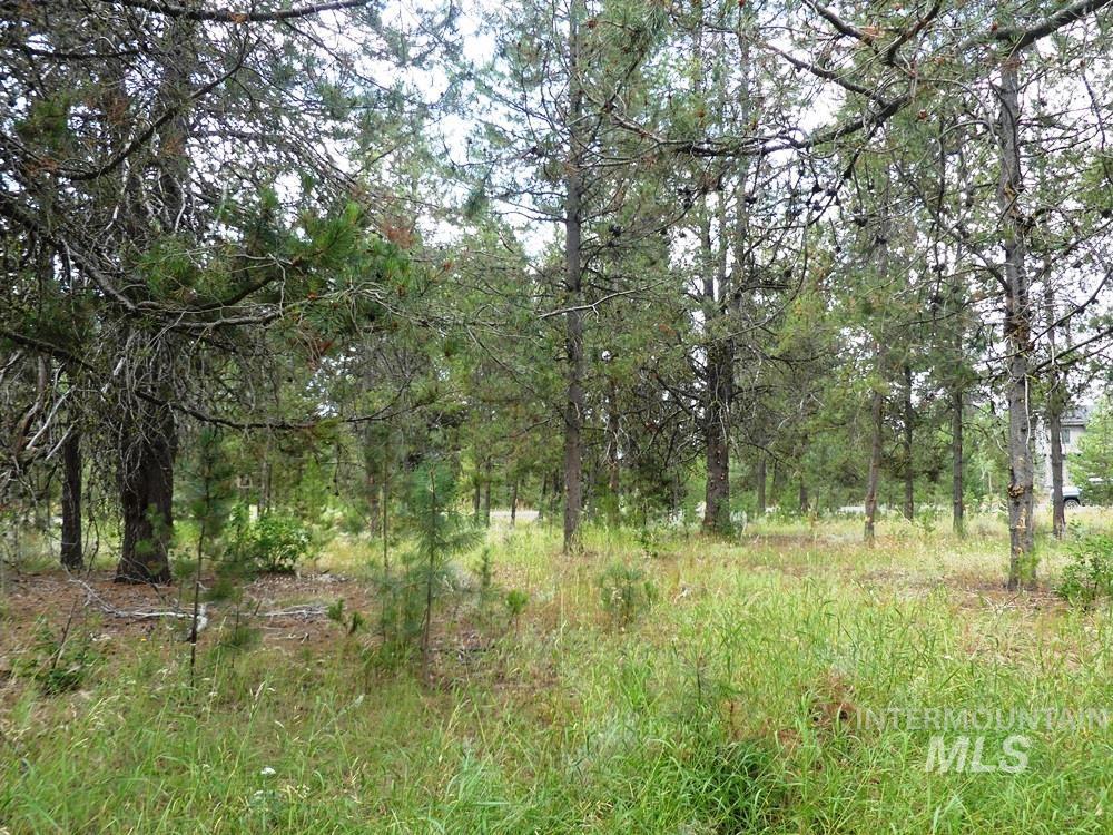 430 Wilhelm Creek Ct, McCall, Idaho 83638, Land For Sale, Price $305,500, 98949510