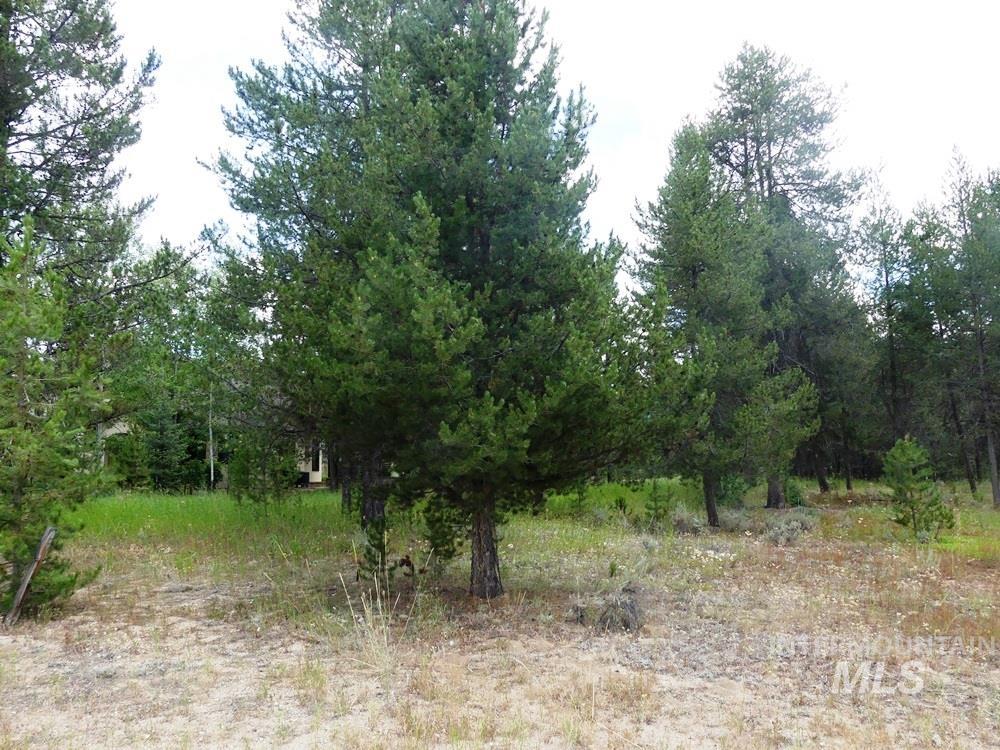 430 Wilhelm Creek Ct, McCall, Idaho 83638, Land For Sale, Price $305,500, 98949510