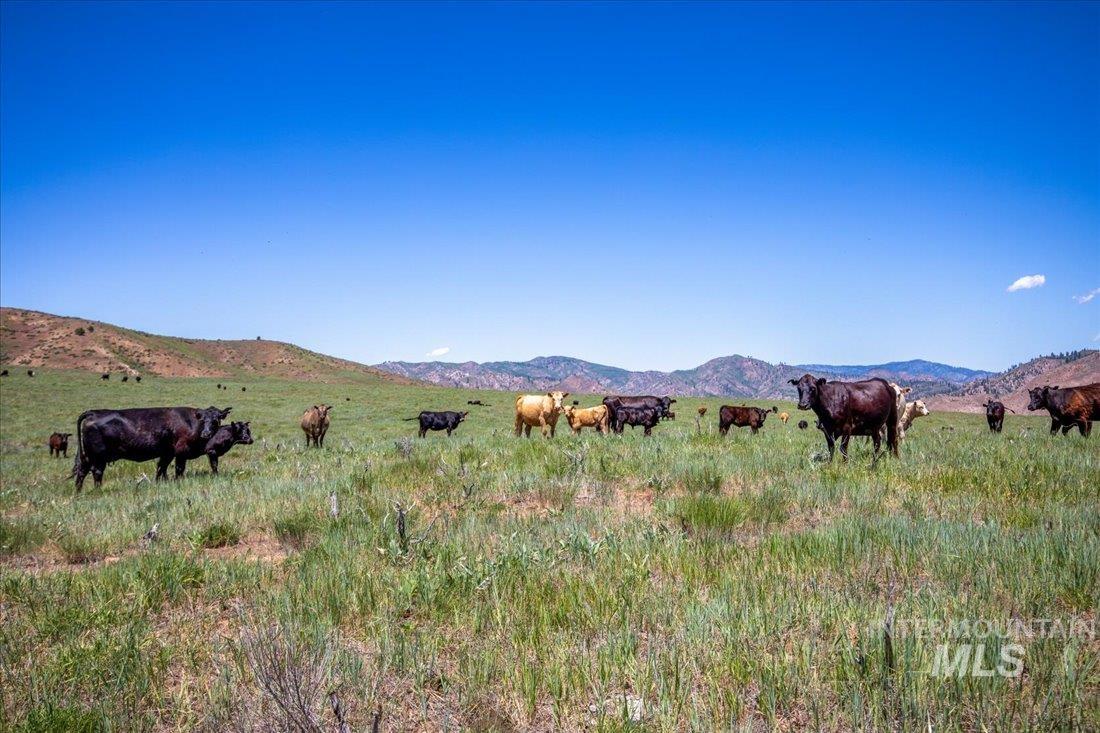 TBD Crank Creek, Mountain Home, Idaho 83647, Land For Sale, Price $1,450,000, 98949533