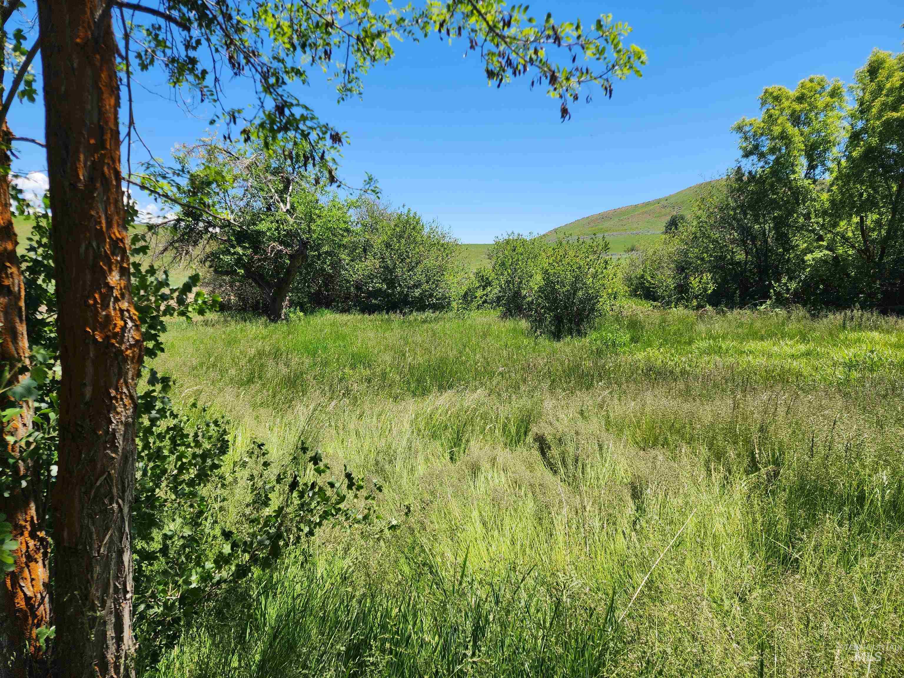 TBD Crank Creek, Mountain Home, Idaho 83647, Land For Sale, Price $1,450,000, 98949533