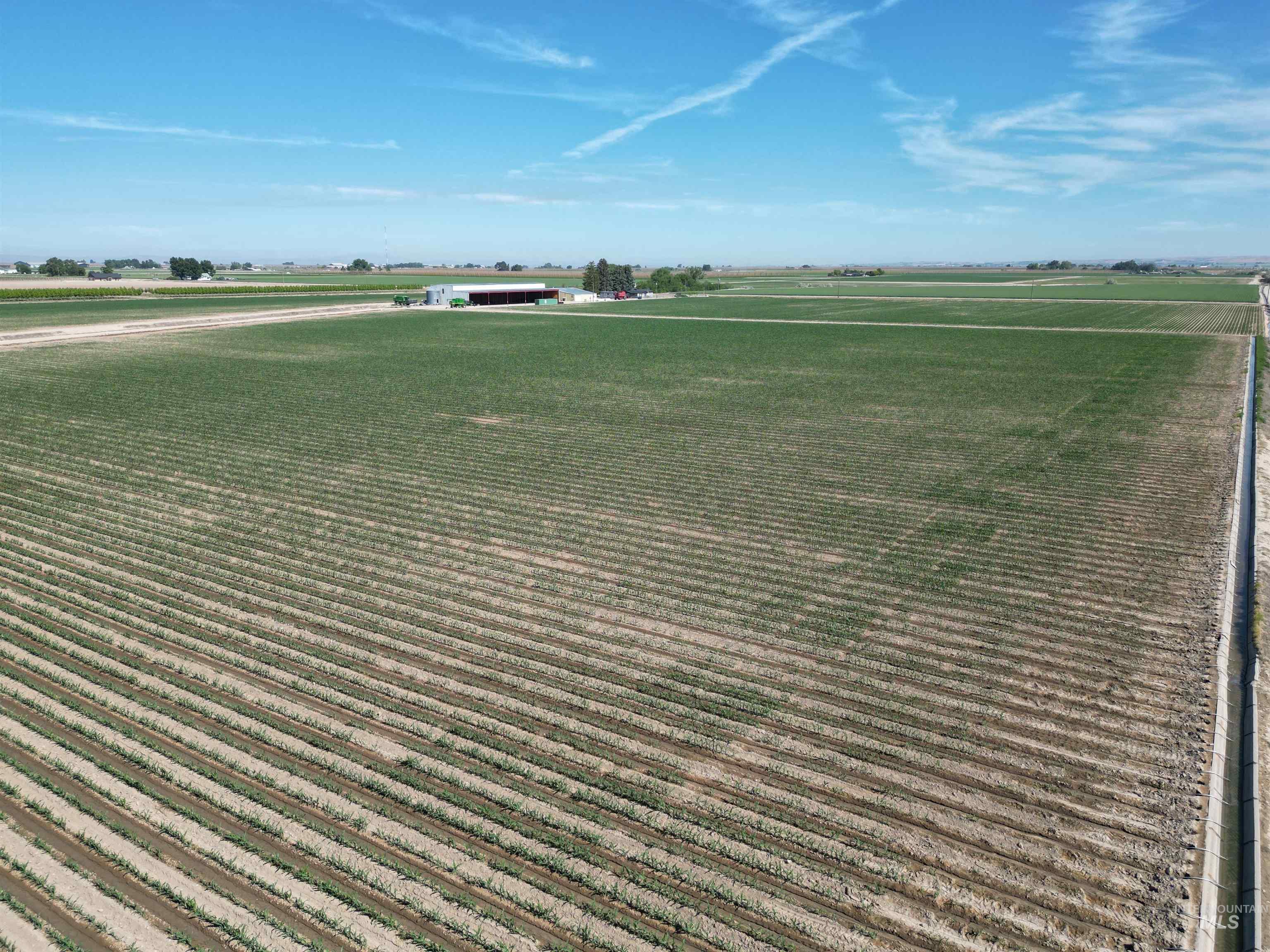 24405 Red Top, Wilder, Idaho 83676, 2 Bedrooms, 1.5 Bathrooms, Farm & Ranch For Sale, Price $2,300,000, 98949565